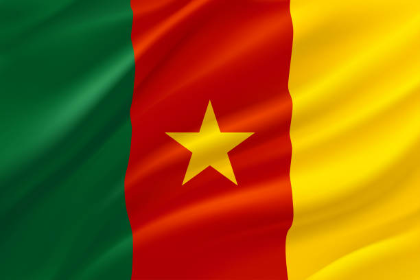 Haut Conseil des Camerounais de l'Extérieur
