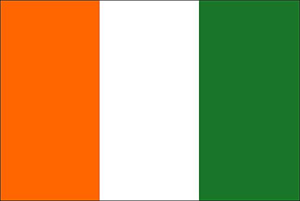 Fédération des Associations de la Diaspora Ivoirienne (FADIV)
